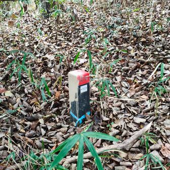 本庄山の山頂？？？
山頂標識などは見つけられませんでした。これは境界標？