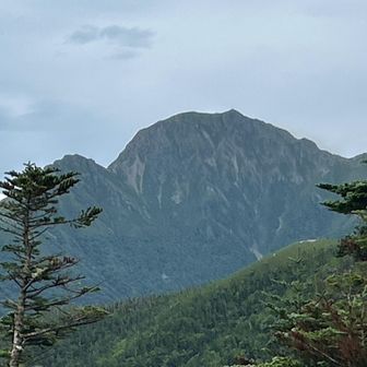 塩見岳　
烏帽子岳への分岐からハッキリと見えました👍
明日は、左から登って行くのかな⁈右の尖った所が西峰⁈