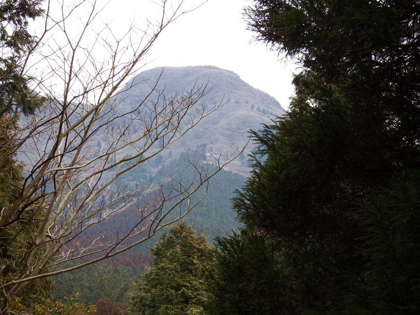 舗装路から鞍岳を！