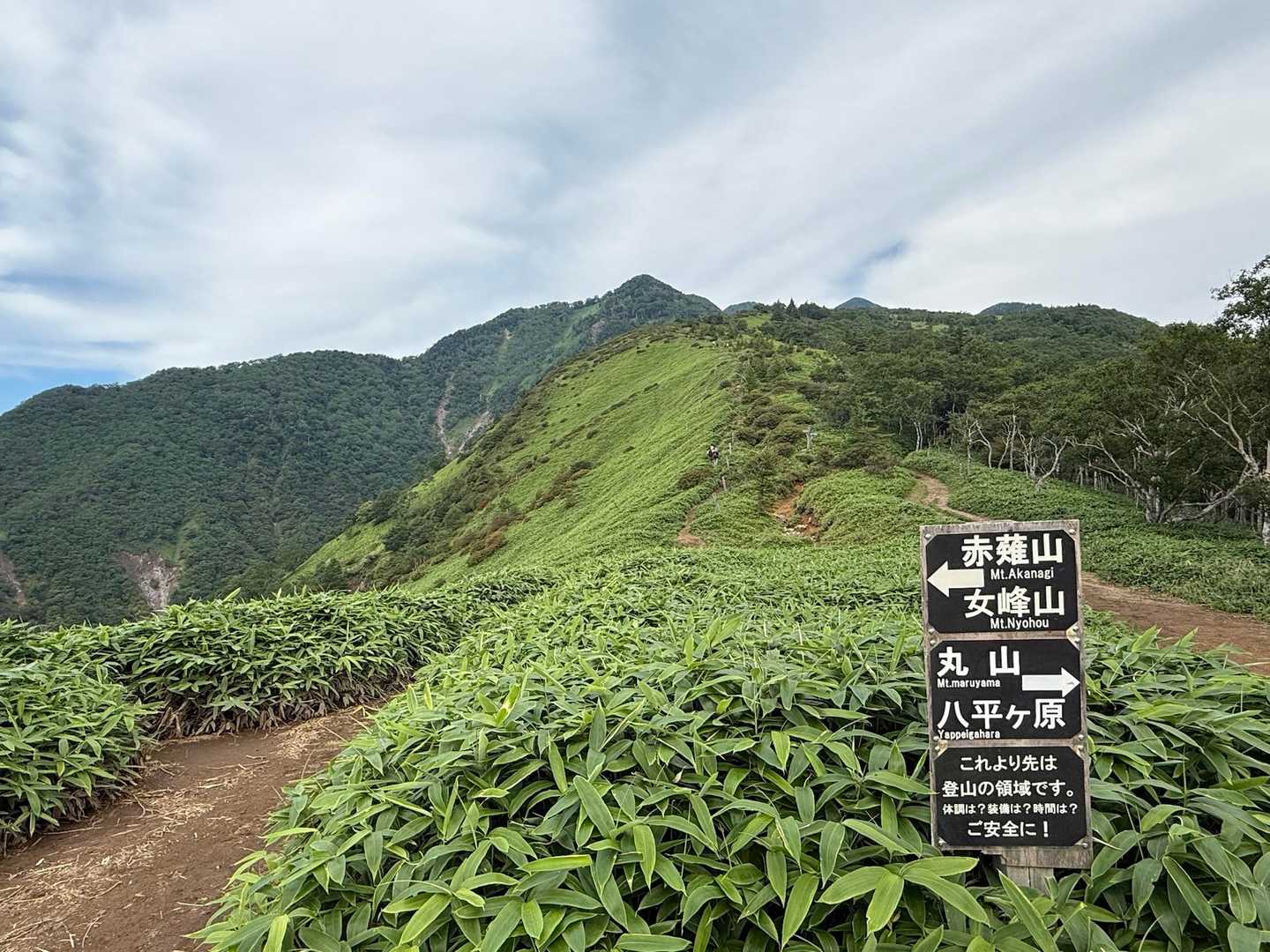 さ！今回は赤薙山に向かいます(ง ˙˘˙ )ว