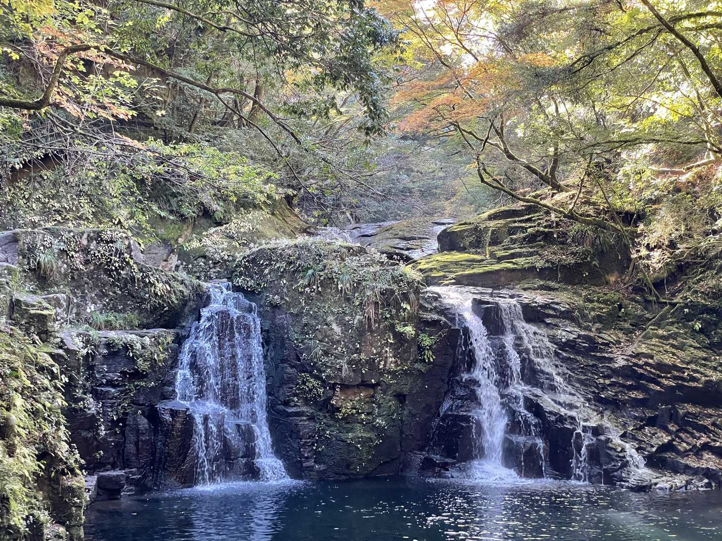 長坂山入山口-長坂山-赤目滝バス停 縦走コースの写真