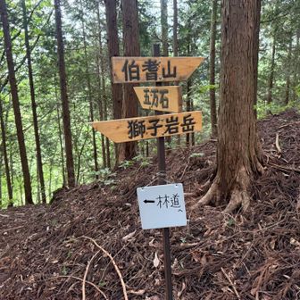この通り新しい道標で案内されて居ます