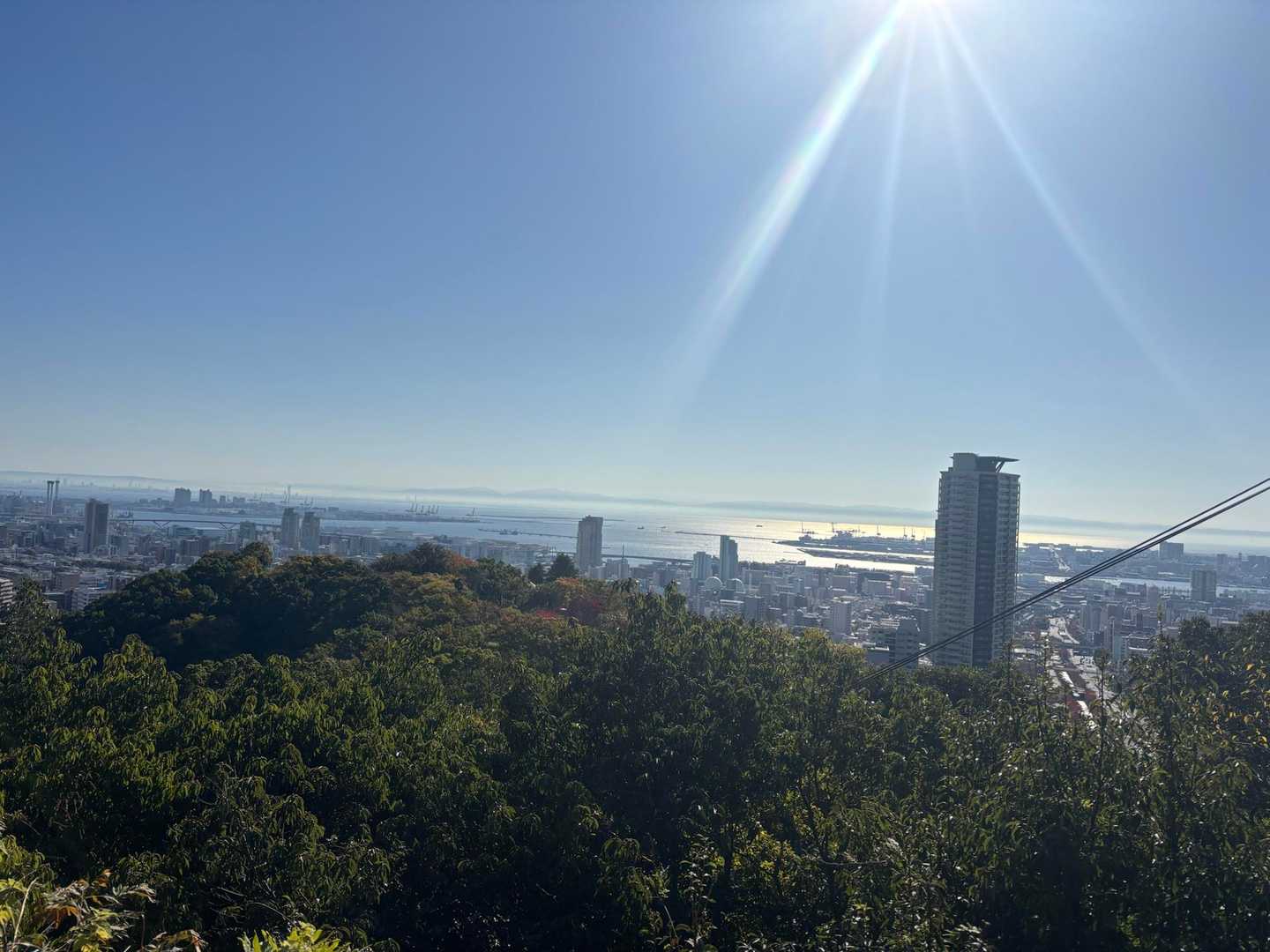 見晴らし台より
今日はほんといい天気☀️
神戸では神戸マラソン🏃開催
たくさんの人がスタート地点にいました
