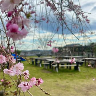 宝篋山と桜スポット巡り🌸 / yama-kの登山データ | YAMAP / ヤマップ