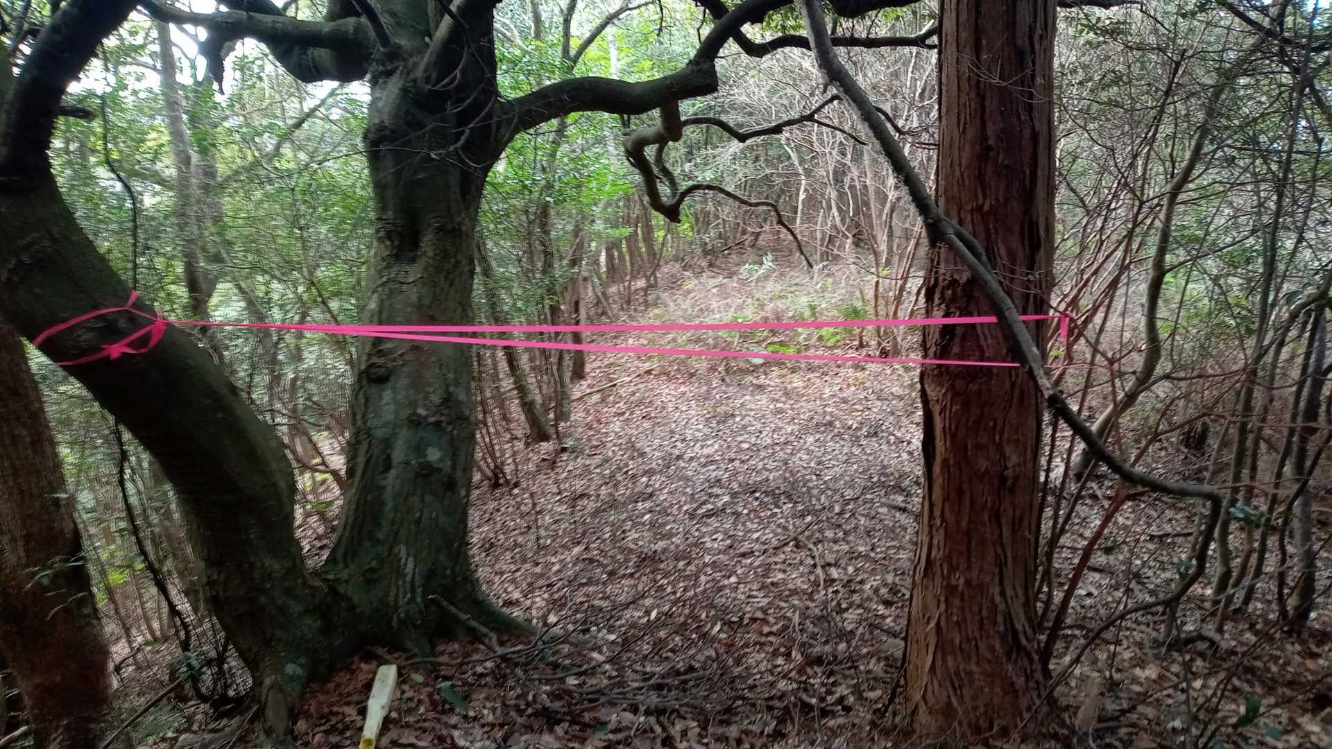 わかりやすい、通行止め