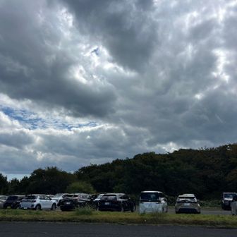 🅿️に戻りました。朝は、２台ほどだったけど🈵流石　花の百名山道後山🌸🌼🪻👍