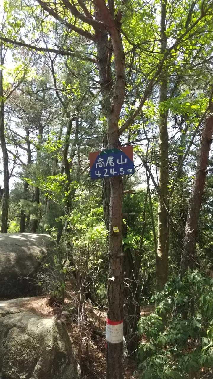 高尾山の写真