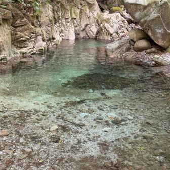 飛び込みたくなるくらい綺麗な水