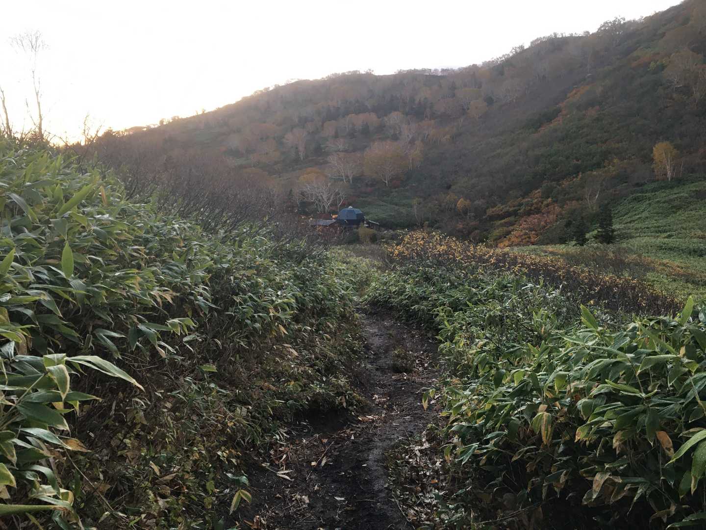 茶臼山-大倉乗越-妙高山 縦走コースの写真