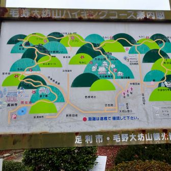案内板
大小山方面はすでに歩いているので、今回は未踏のコースへ