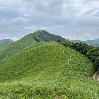 道、美しい