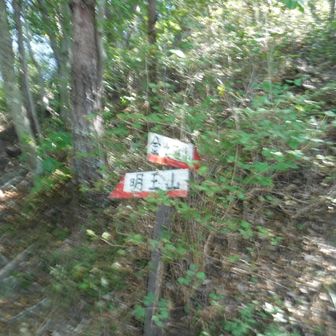 金比羅山への登りへ