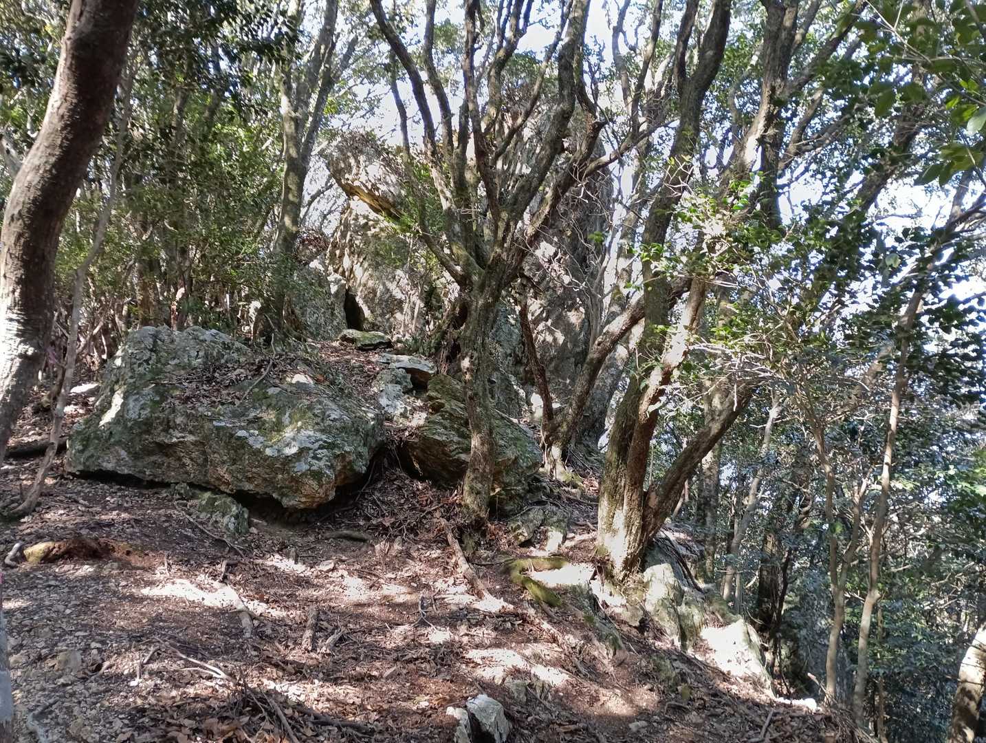こちらの山も🪨🪨沢山あります