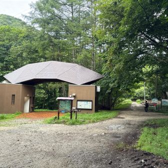 トイレ有ります