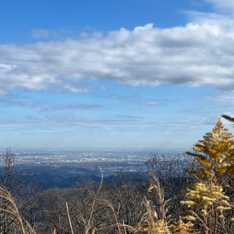 下界の街。この後高尾山へ