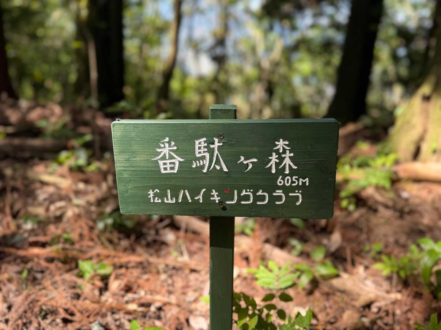 しばらく急登を登り続けると…

初登頂の番駄ヶ森🌳‼️

初めて来たけど…
眺望はありませんでした🤣

