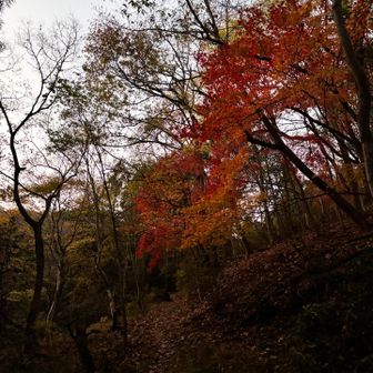 民家の間より入山⛰️