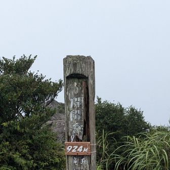 頂上は真っ白