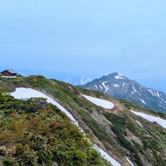 避難小屋と駒ヶ岳