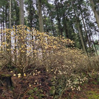 いきなりですか✨