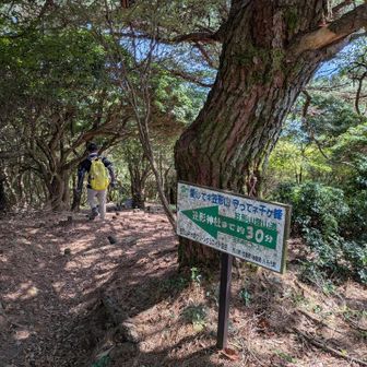 帰りは笠の丸まで戻り神社コースを取る