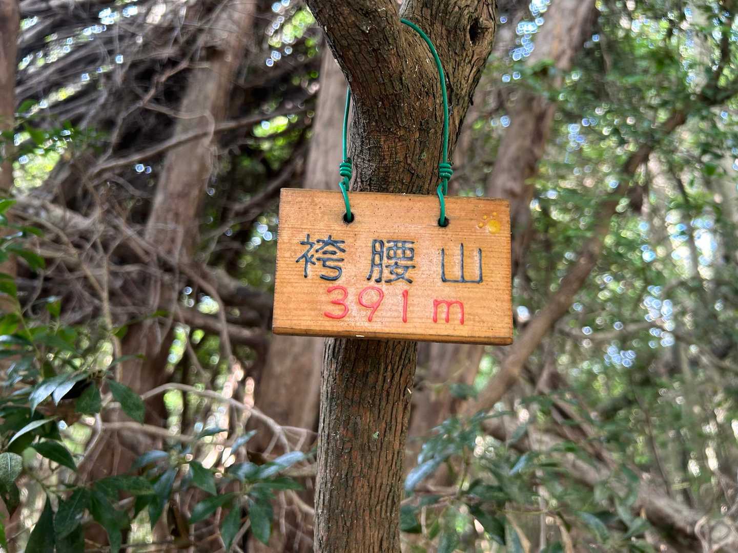 袴腰山(はかまこしやま？)山頂✨展望台は無し