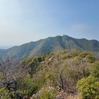 活動開始から10時間、金華山が目の前に。