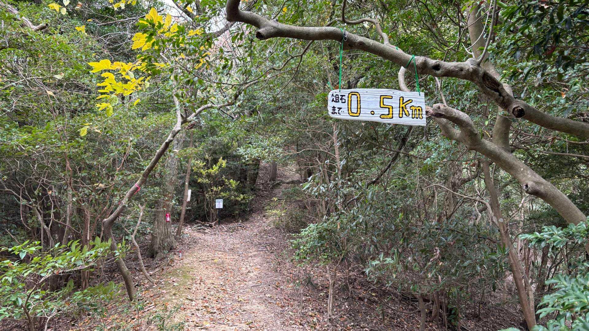 距離もわかる新しい案内指標です🙏😊
