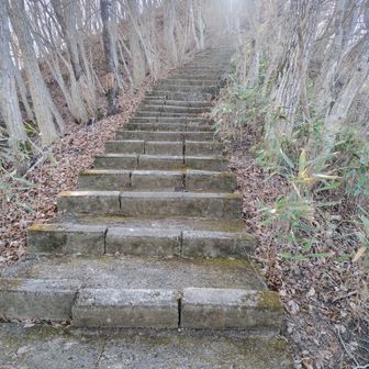 階段発明した奴出て来い！！！