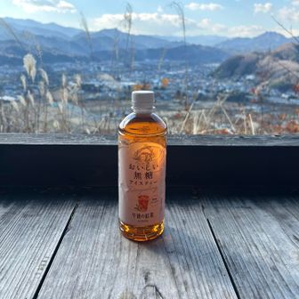 紅茶で一休みしたら、お爺さんはピストンで戻るというのでお付き合い。とりあえずラスボスへ。