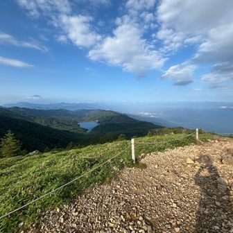 富士山がきれいだった
