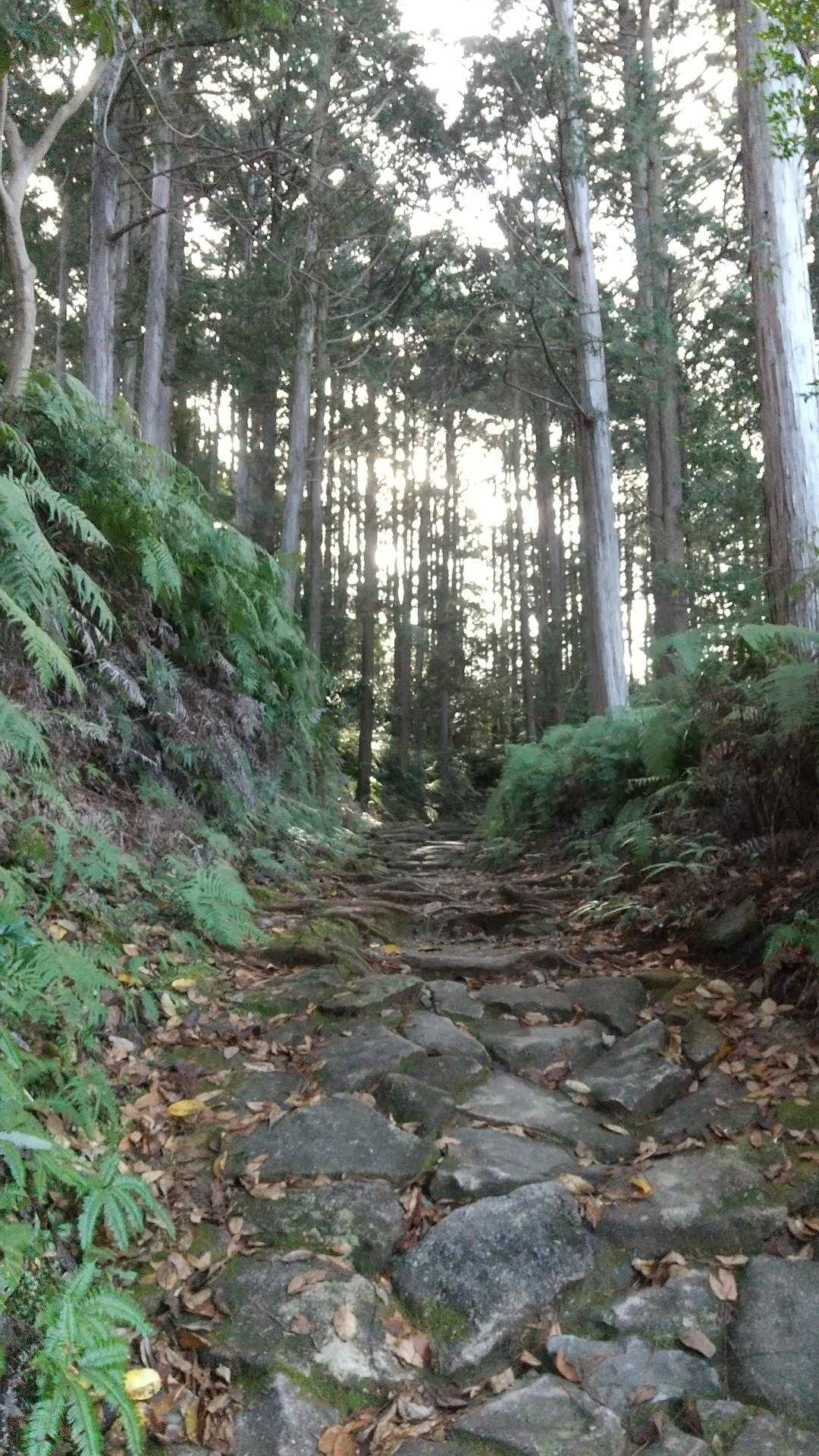 帰路、熊野古道の石畳