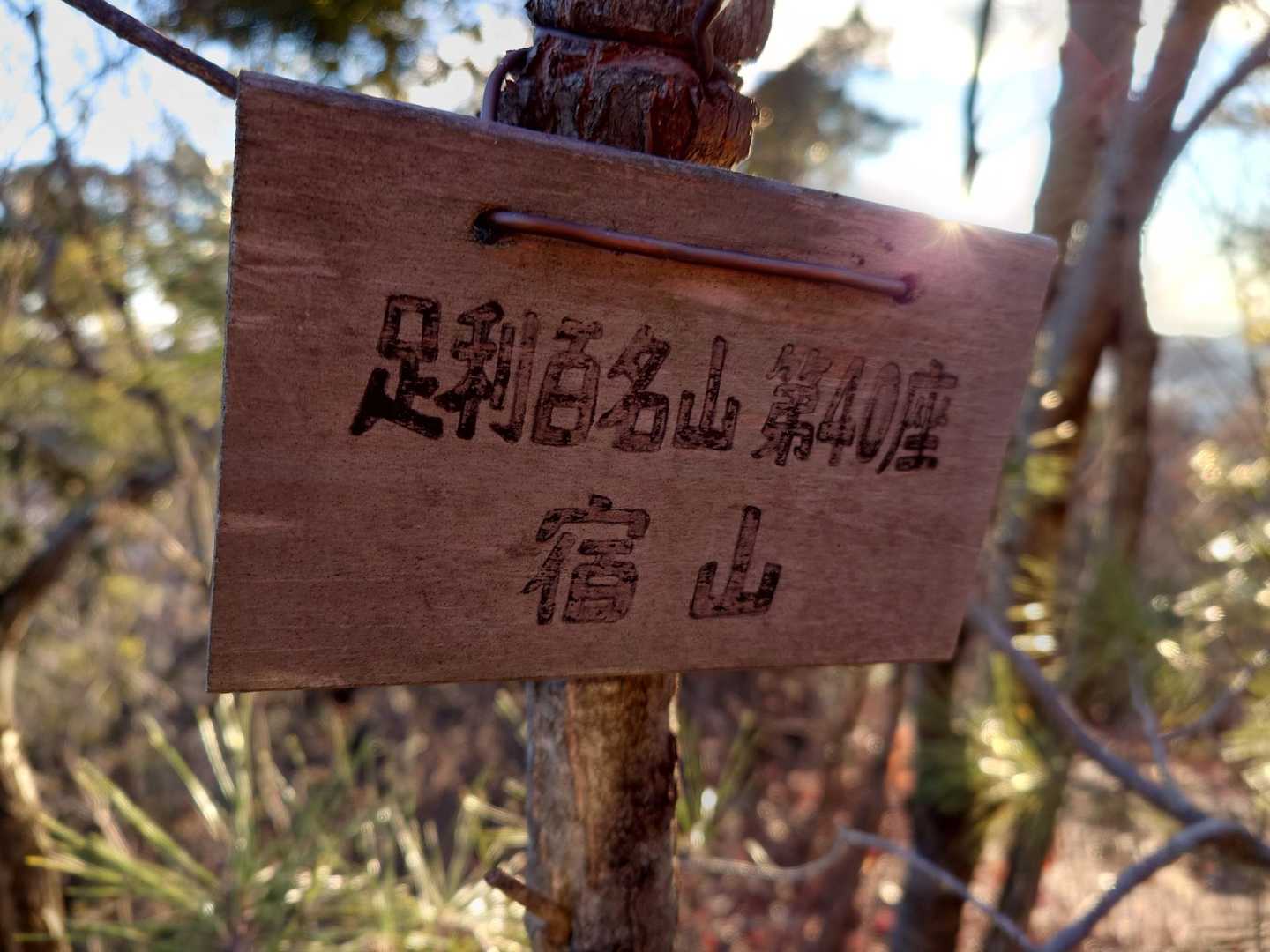 宿山✨