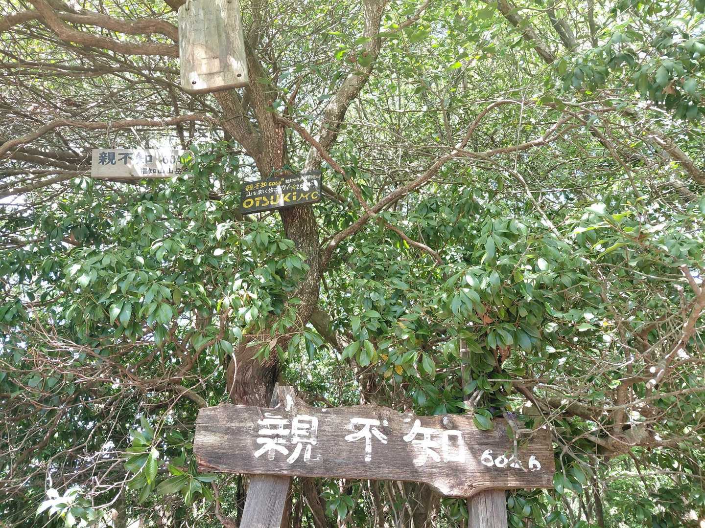 親不知　登頂