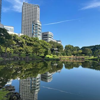都会のオアシス