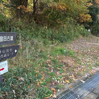 畠田古墳ルート