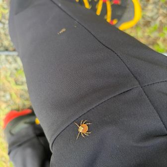 まぁ…マダニ
ウブでは二度目の装着？
払っても取れまへん🫣