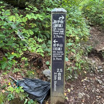 登りは旧道で