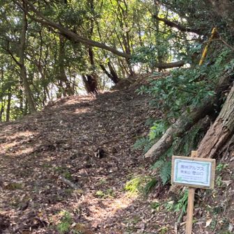 ようやく登山口、落ち葉多いです。