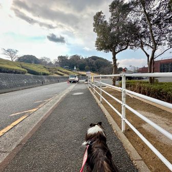 帰ってきました‼️