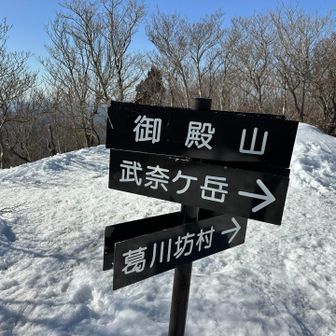 比良山系の景色もここまで
長い急な登山道を降ります