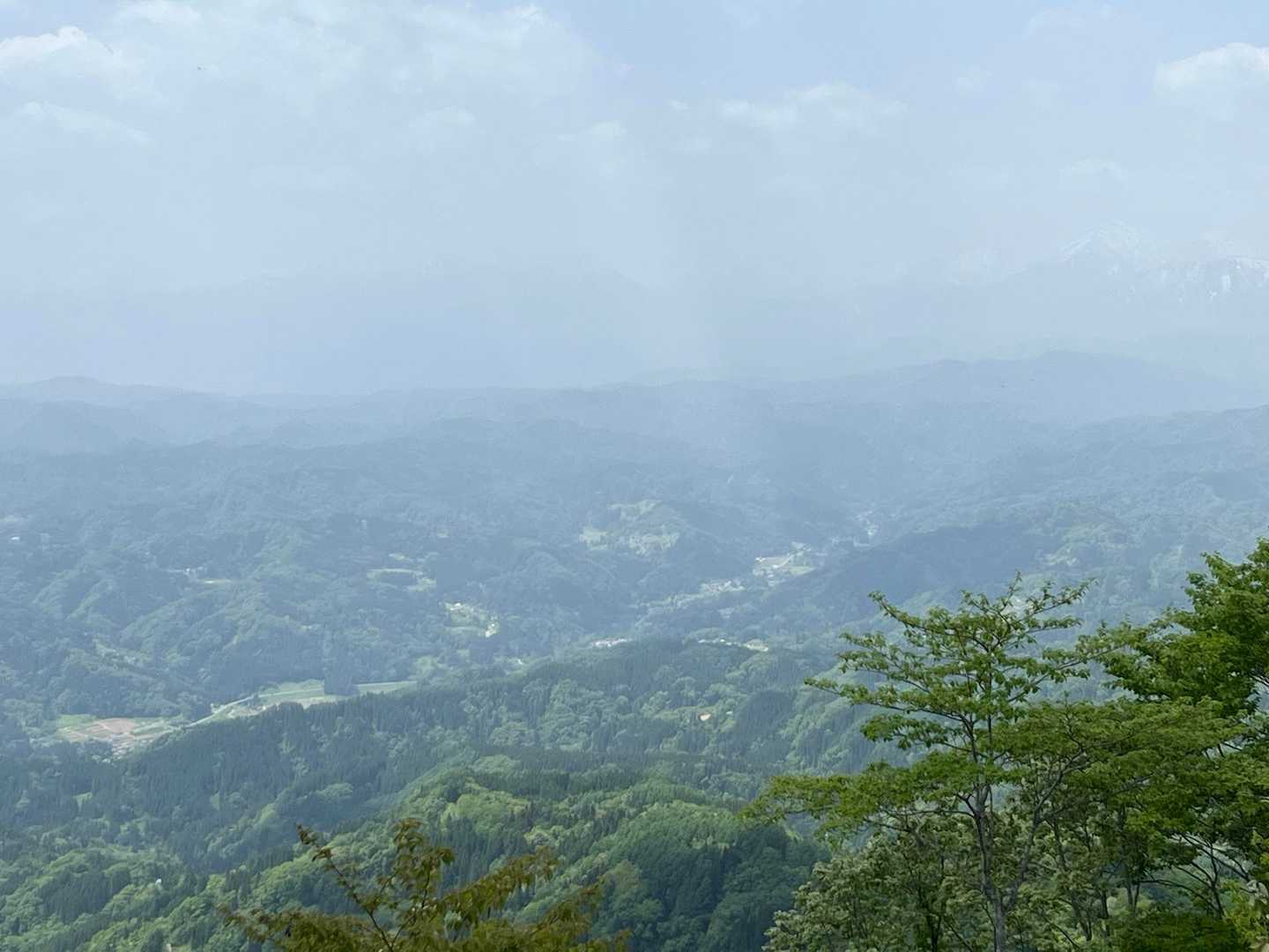 虫倉山登山道入口-虫倉山 往復コースの写真