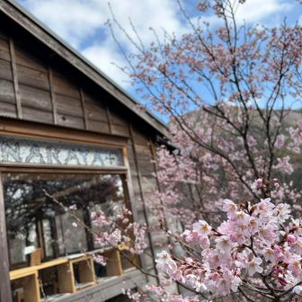 うふふ春ですね！