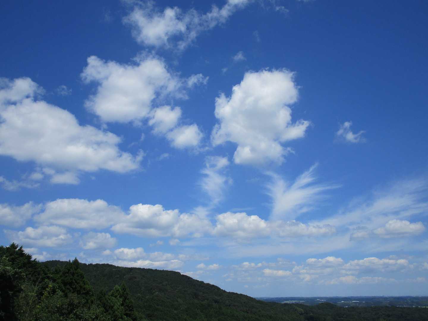 空が高く見えるのは気のせい？