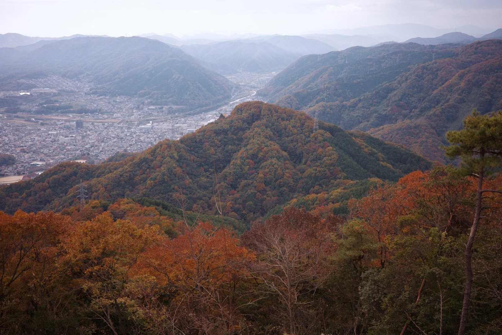 紅葉もしっかりと🍁