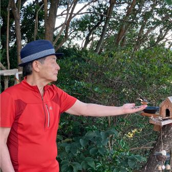 🐧ヤマガラちゃんの遊び場の前でエサを与えました♪(๑ᴖ◡ᴖ๑)♪🤣