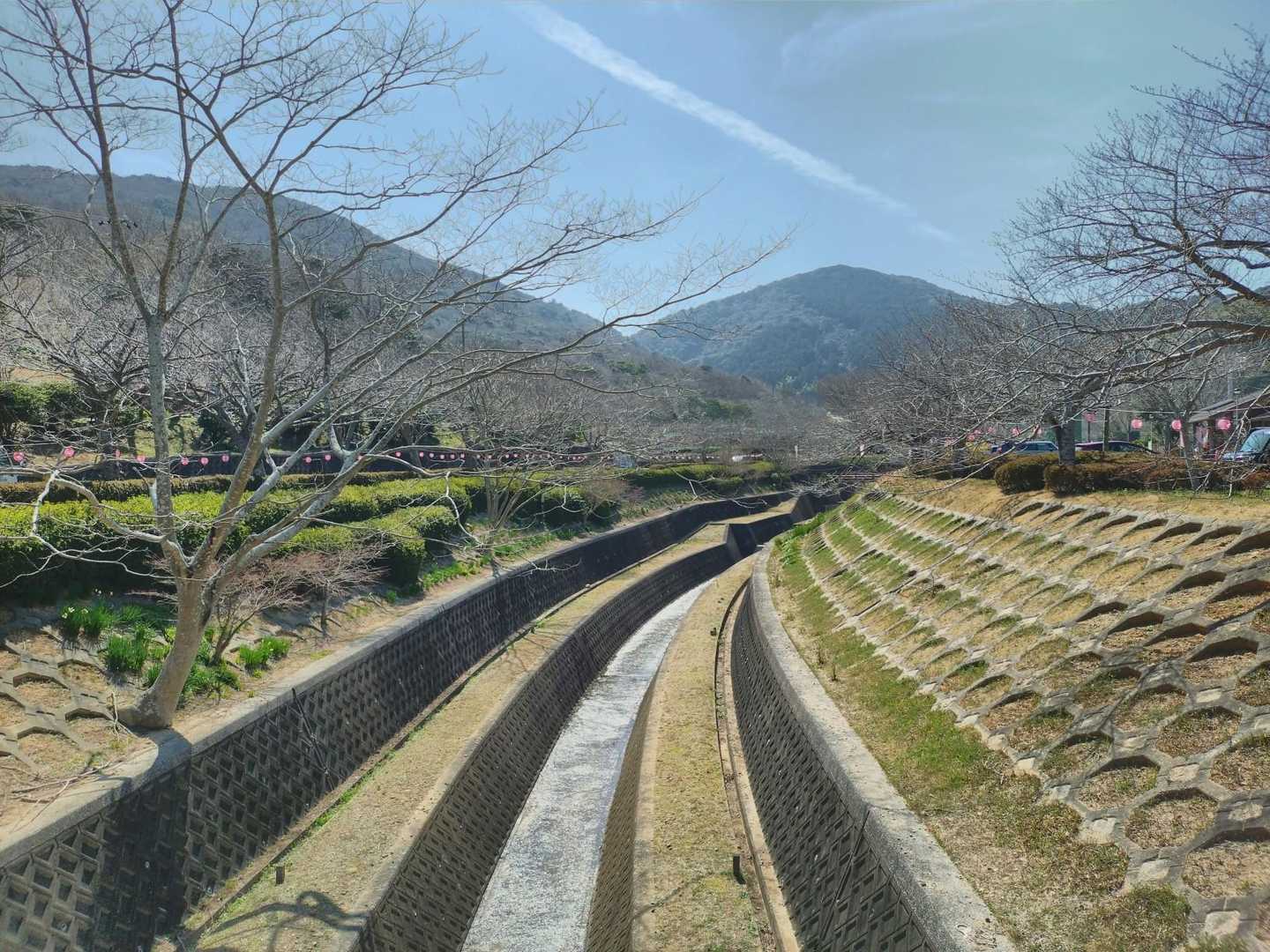 3/29に滝頭公園で桜まつりが開催されるみたいです🌸