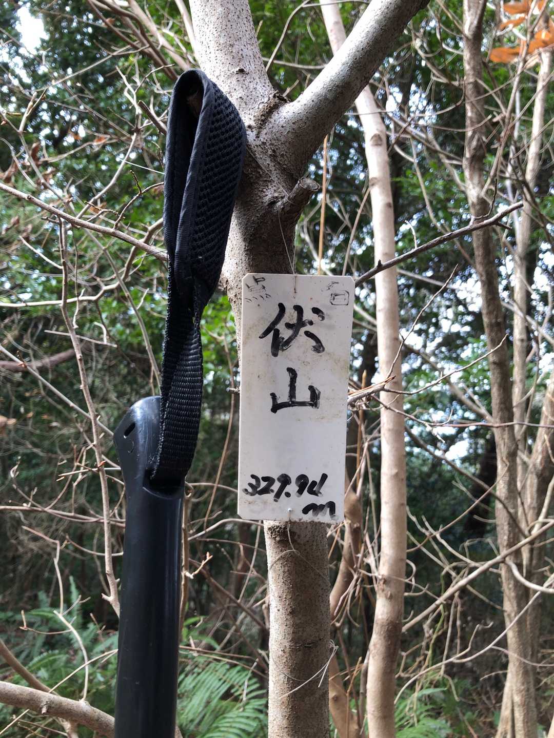 伏山？