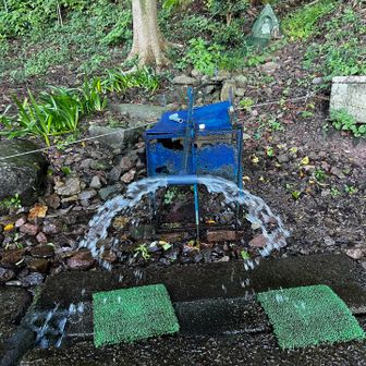 岩清水登山口まで降りてきた。この水がうまい。ソフトフラスクの水分も入れ替えます。さて、復路始まりってことで、また引き返すぞ。