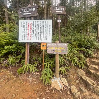裏登山道は右の階段を